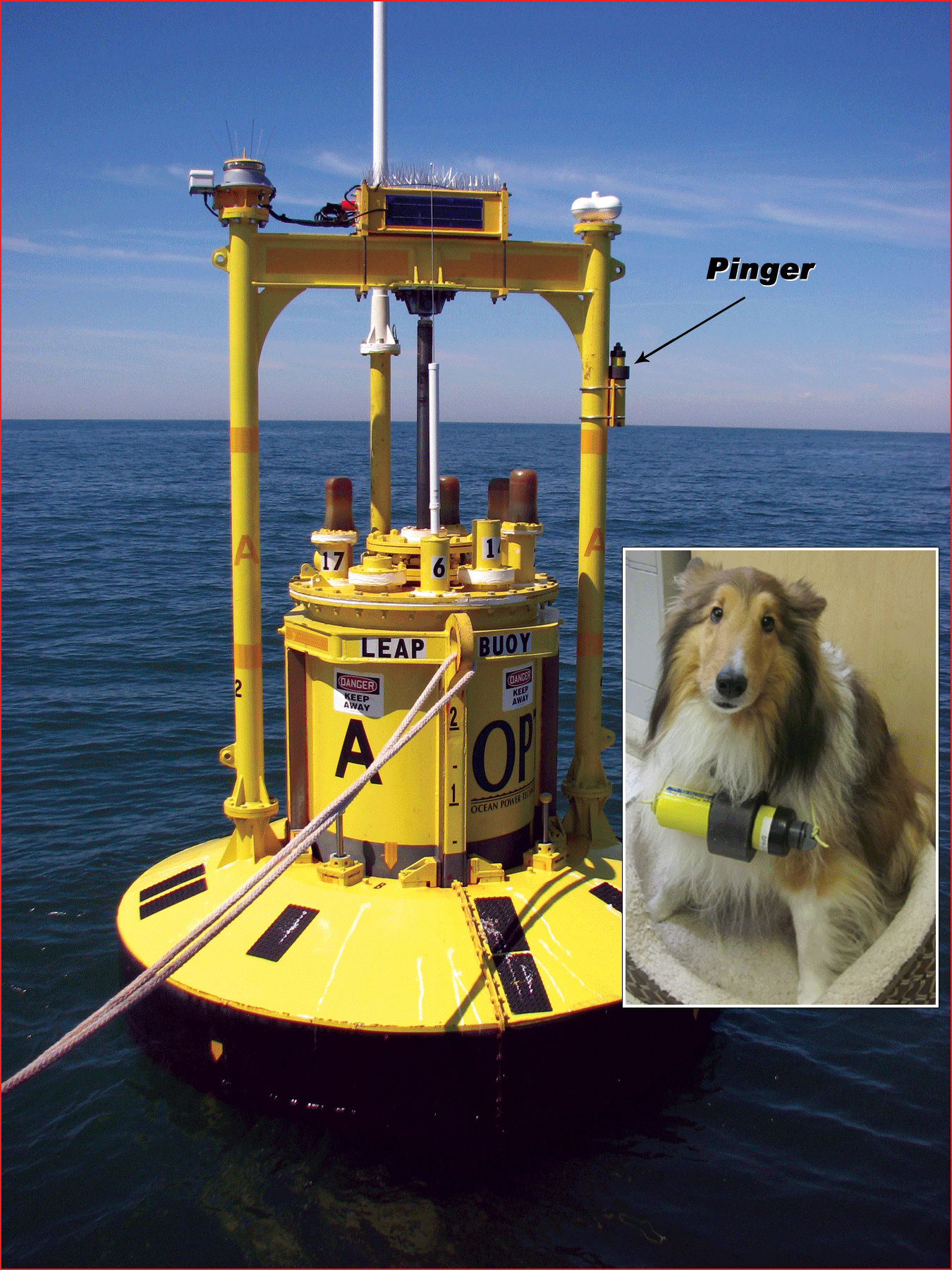 An equipment on the sea with Pinger attached on it; A dog with collar attached with Pinger